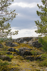 Similar image 22664813