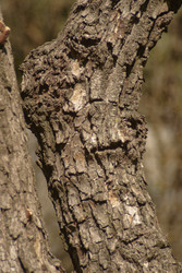 Similar image 22662763