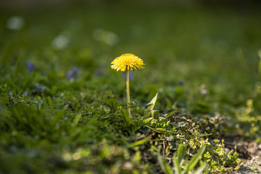 Similar image 22662838