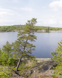 Similar image 22664859