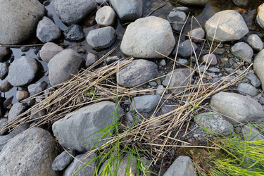 Similar image 22664866