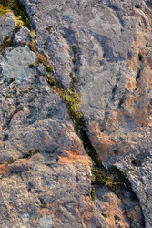 Similar image 22664869