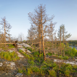 Similar image 22664883