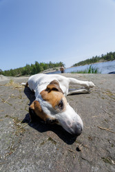 Similar image 22664898