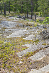 Similar image 22664904