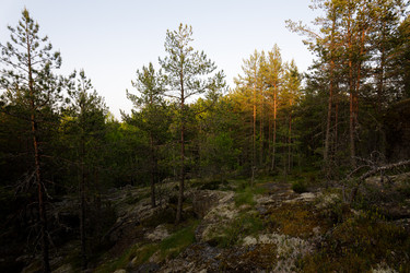 Similar image 22664913