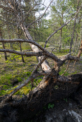 Similar image 22664918