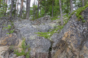 Similar image 22664929