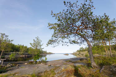 Similar image 22664933