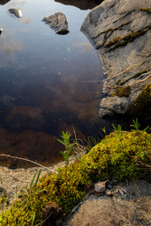 Similar image 22664934