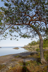 Similar image 22664947