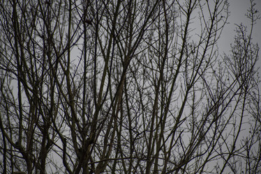 Similar image 22663064