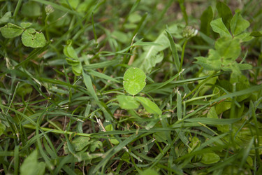 Similar image 22663081