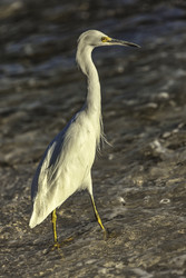Similar image 22663123