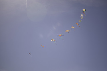 Similar image 22663141