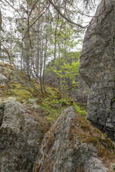 Similar image 22665019