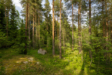 Similar image 22660481
