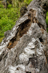 Similar image 22665021