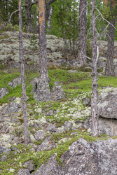 Similar image 22665039
