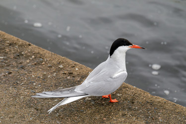 Similar image 22660502