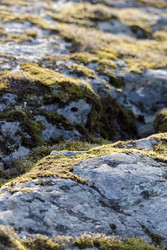 Similar image 22660506