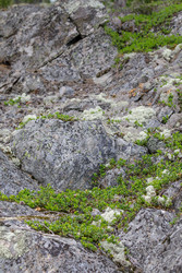 Similar image 22660507