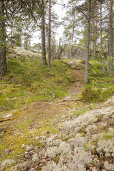 Similar image 22660515