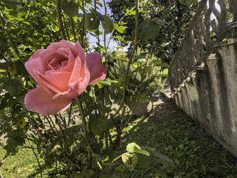 Similar image 22662595
