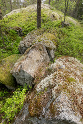 Similar image 22660405