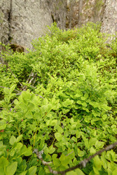 Similar image 22660408