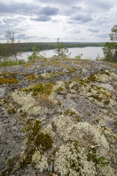 Similar image 22660412