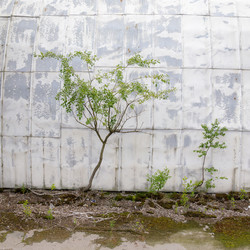 Similar image 22660413