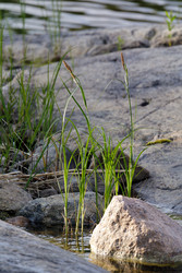 Similar image 22660414