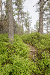 Similar image 22660419
