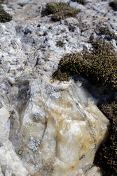Similar image 22660422