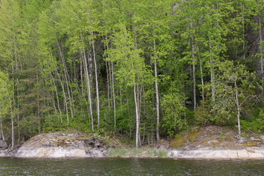 Similar image 22660427