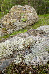 Similar image 22660433