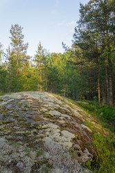 Similar image 22660442