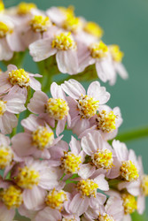 Similar image 22660444