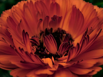 Similar image 22662932