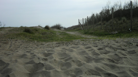 Similar image 22662944