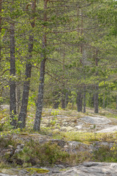 Similar image 22660464