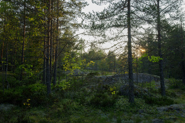 Similar image 22660469