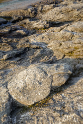 Similar image 22660486