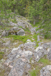 Similar image 22660492