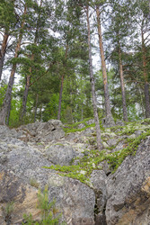 Similar image 22660494