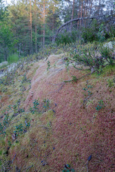 Similar image 22660520