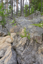 Similar image 22660534