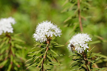 Similar image 22660539