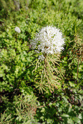 Similar image 22660548